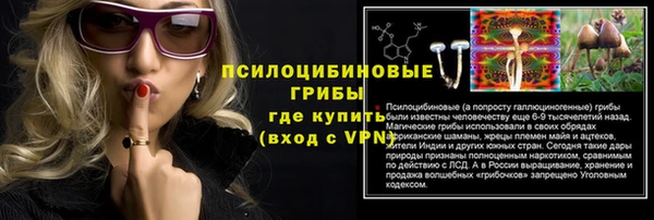 PSILOCYBIN Губаха