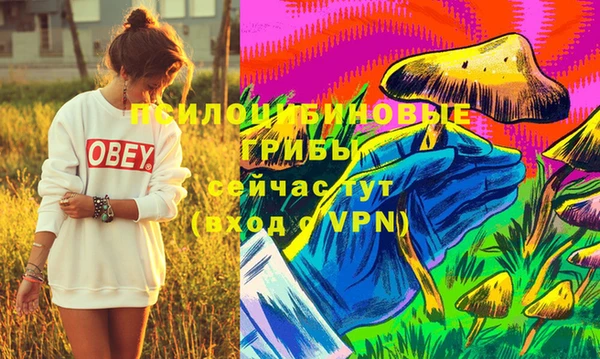 прущая мука Грязовец