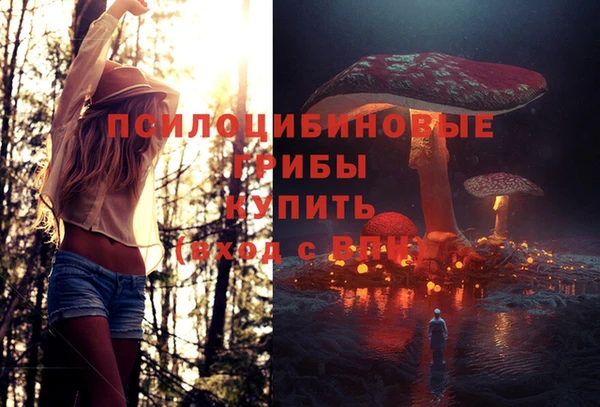 ALPHA-PVP Покачи