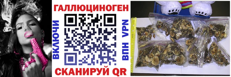 Галлюциногенные грибы Cubensis  blacksprut tor  Щучье 